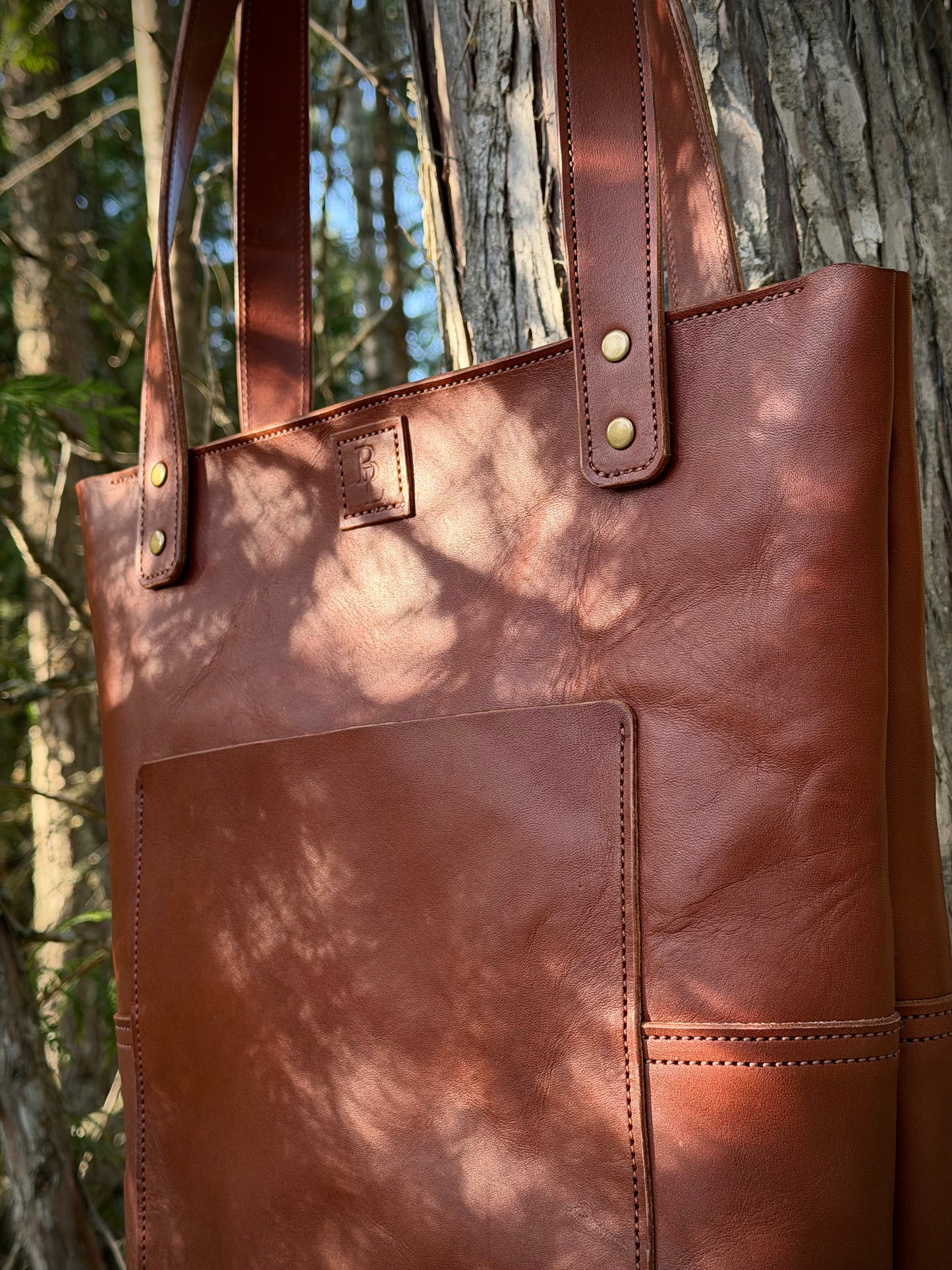 Erika's Tote V2